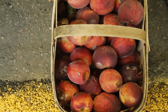 8409624561_13076ca240_o