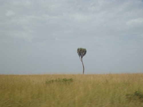 8409691513_30e1e8aa2b_o